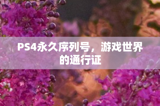 PS4永久序列号,游戏世界的通行证 PS4永久序列号,游戏世界的通行证