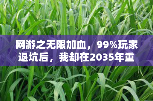 网游之无限加血,99%玩家退坑后,我却在2035年重返无限杀戮见证终极进化! 网游之无限加血,99%玩家退坑后,我却在2035年重返无限杀戮见证终极进化!