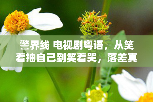 警界线 电视剧粤语,从笑着抽自己到笑着哭,落差真相里藏着警界线外的自己 警界线 电视剧粤语,从笑着抽自己到笑着哭,落差真相里藏着警界线外的自己