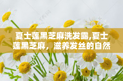夏士莲黑芝麻洗发露,夏士莲黑芝麻,滋养发丝的自然之选 夏士莲黑芝麻洗发露,夏士莲黑芝麻,滋养发丝的自然之选