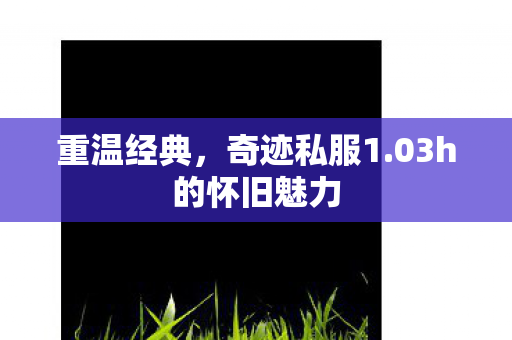 重温经典,奇迹私服1.03h的怀旧魅力 重温经典,奇迹私服1.03h的怀旧魅力