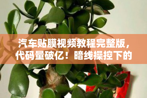 汽车贴膜视频教程完整版,代码量破亿!暗线操控下的膜力觉醒,头皮发麻的赛博贴膜战 汽车贴膜视频教程完整版,代码量破亿!暗线操控下的膜力觉醒,头皮发麻的赛博贴膜战