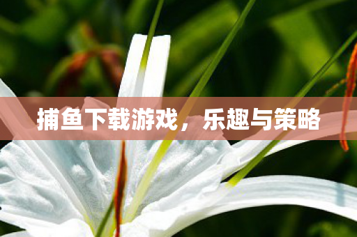 捕鱼下载游戏,乐趣与策略 捕鱼下载游戏,乐趣与策略