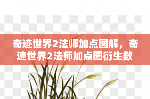 奇迹世界2法师加点图解，奇迹世界2法师加点图衍生数破圈！败家玩家竟用周边堆出魔法圣殿！