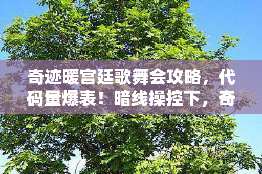 奇迹暖宫廷歌舞会攻略,代码量爆表!暗线操控下,奇迹暖宫廷歌舞会让你头皮发麻! 奇迹暖宫廷歌舞会攻略,代码量爆表!暗线操控下,奇迹暖宫廷歌舞会让你头皮发麻!
