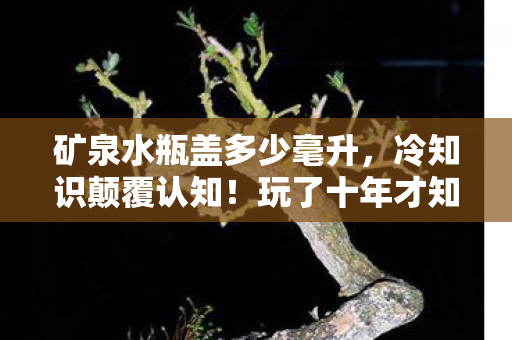 矿泉水瓶盖多少毫升,冷知识颠覆认知!玩了十年才知矿泉水瓶盖藏着目瞪口呆的秘密 矿泉水瓶盖多少毫升,冷知识颠覆认知!玩了十年才知矿泉水瓶盖藏着目瞪口呆的秘密