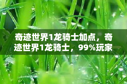 奇迹世界1龙骑士加点，奇迹世界1龙骑士，99%玩家不知的隐藏机制，一招逆袭成神！