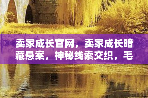 卖家成长官网，卖家成长暗藏悬案，神秘线索交织，毛骨悚然真相待揭！