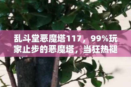 乱斗堂恶魔塔117，99%玩家止步的恶魔塔，当狂热褪去，谁在深渊里数着金币？