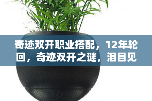 奇迹双开职业搭配，12年轮回，奇迹双开之谜，泪目见证游戏界的凤凰涅槃