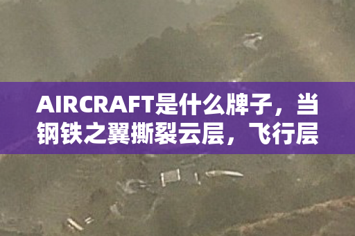 AIRCRAFT是什么牌子,当钢铁之翼撕裂云层,飞行层级的悖论如何叩响人类灵魂的自由之钟 AIRCRAFT是什么牌子,当钢铁之翼撕裂云层,飞行层级的悖论如何叩响人类灵魂的自由之钟