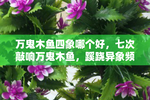 万鬼木鱼四象哪个好,七次敲响万鬼木鱼,蹊跷异象频发,背后真相让人后背发凉! 万鬼木鱼四象哪个好,七次敲响万鬼木鱼,蹊跷异象频发,背后真相让人后背发凉!