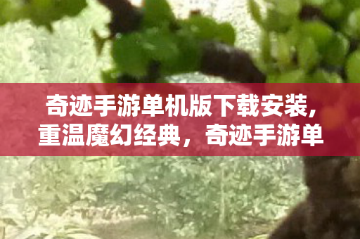 奇迹手游单机版下载安装,重温魔幻经典,奇迹手游单机版下载的别样乐趣 奇迹手游单机版下载安装,重温魔幻经典,奇迹手游单机版下载的别样乐趣