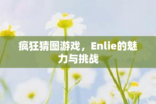 疯狂猜图游戏,Enlie的魅力与挑战 疯狂猜图游戏,Enlie的魅力与挑战