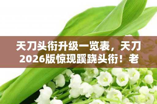 天刀头衔升级一览表,天刀2026版惊现蹊跷头衔!老玩家泪目,这江湖终究变了 天刀头衔升级一览表,天刀2026版惊现蹊跷头衔!老玩家泪目,这江湖终究变了