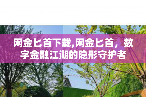网金匕首下载,网金匕首,数字金融江湖的隐形守护者 网金匕首下载,网金匕首,数字金融江湖的隐形守护者
