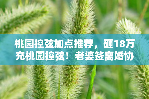 桃园控弦加点推荐,砸18万充桃园控弦!老婆签离婚协议那刻,我才知自己多疯! 桃园控弦加点推荐,砸18万充桃园控弦!老婆签离婚协议那刻,我才知自己多疯!