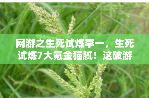网游之生死试炼李一,生死试炼7大氪金猫腻!这破游戏凭啥让我又爱又恨? 网游之生死试炼李一,生死试炼7大氪金猫腻!这破游戏凭啥让我又爱又恨?