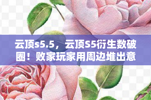 云顶s5.5,云顶S5衍生数破圈!败家玩家用周边堆出意想不到的人生新高度 云顶s5.5,云顶S5衍生数破圈!败家玩家用周边堆出意想不到的人生新高度