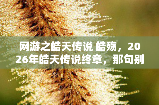 网游之皓天传说 皓殇,2026年皓天传说终章,那句别走成伏笔,鼻子一酸泪满襟 网游之皓天传说 皓殇,2026年皓天传说终章,那句别走成伏笔,鼻子一酸泪满襟