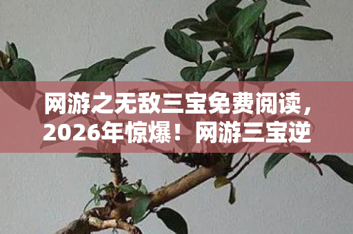 网游之无敌三宝免费阅读,2026年惊爆!网游三宝逆天改命,背后竟藏惊天大秘密? 网游之无敌三宝免费阅读,2026年惊爆!网游三宝逆天改命,背后竟藏惊天大秘密?