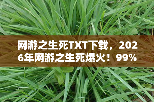 网游之生死TXT下载,2026年网游之生死爆火!99%玩家不知的隐藏结局竟藏于此? 网游之生死TXT下载,2026年网游之生死爆火!99%玩家不知的隐藏结局竟藏于此?