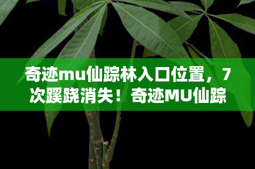 奇迹mu仙踪林入口位置,7次蹊跷消失!奇迹MU仙踪林入口背后,真相让人后背发凉! 奇迹mu仙踪林入口位置,7次蹊跷消失!奇迹MU仙踪林入口背后,真相让人后背发凉!