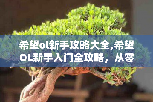 希望ol新手攻略大全,希望OL新手入门全攻略,从零开启的Q版冒险 希望ol新手攻略大全,希望OL新手入门全攻略,从零开启的Q版冒险