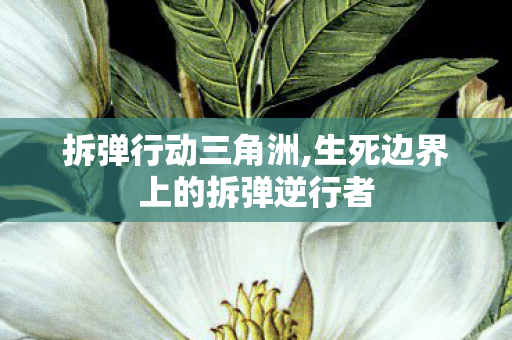 拆弹行动三角洲,生死边界上的拆弹逆行者