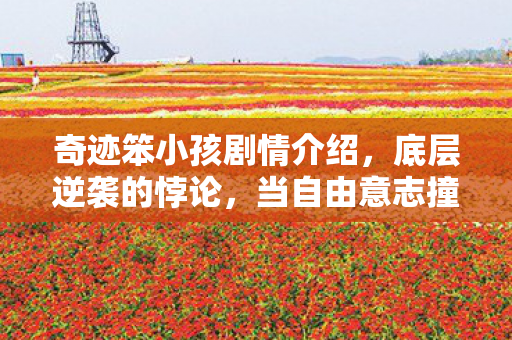 奇迹笨小孩剧情介绍,底层逆袭的悖论,当自由意志撞碎命运齿轮,谁在操控灵魂震颤的奇迹? 奇迹笨小孩剧情介绍,底层逆袭的悖论,当自由意志撞碎命运齿轮,谁在操控灵魂震颤的奇迹?