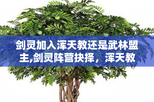 剑灵加入浑天教还是武林盟主,剑灵阵营抉择,浑天教与武林盟的选择之道 剑灵加入浑天教还是武林盟主,剑灵阵营抉择,浑天教与武林盟的选择之道