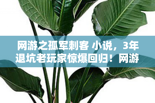 网游之孤军刺客 小说，3年退坑老玩家惊爆回归！网游之孤军刺客竟藏着这致命秘密？
