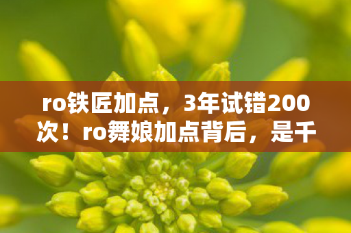 ro铁匠加点,3年试错200次!ro舞娘加点背后,是千万玩家不为人知的心酸 ro铁匠加点,3年试错200次!ro舞娘加点背后,是千万玩家不为人知的心酸