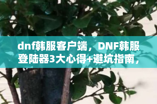 dnf韩服客户端,DNF韩服登陆器3大心得+避坑指南,让你少走90%弯路! dnf韩服客户端,DNF韩服登陆器3大心得+避坑指南,让你少走90%弯路!