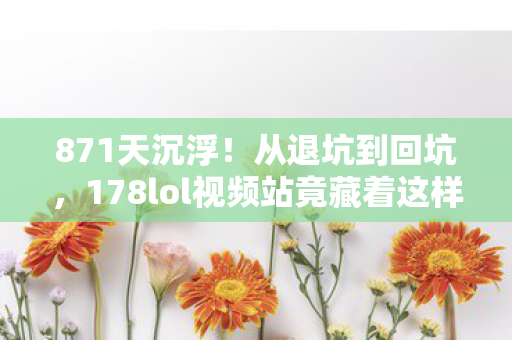 871天沉浮！从退坑到回坑，178lol视频站竟藏着这样的秘密？
