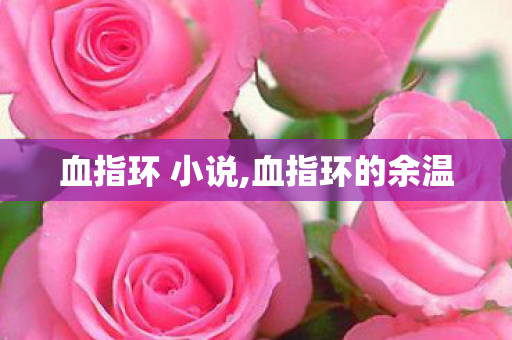 血指环 小说,血指环的余温 血指环 小说,血指环的余温