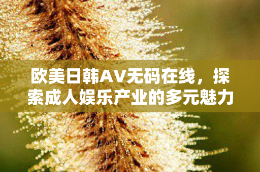 欧美日韩AV无码在线,探索成人娱乐产业的多元魅力 欧美日韩AV无码在线,探索成人娱乐产业的多元魅力