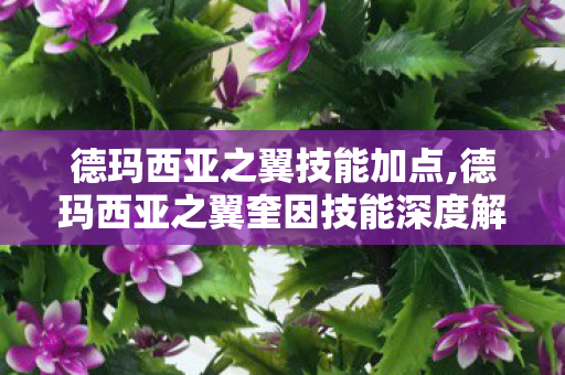 德玛西亚之翼技能加点,德玛西亚之翼奎因技能深度解析,解锁空中刺客的战斗逻辑 德玛西亚之翼技能加点,德玛西亚之翼奎因技能深度解析,解锁空中刺客的战斗逻辑