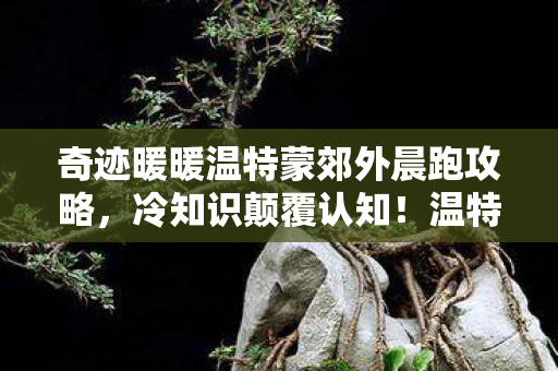 奇迹暖暖温特蒙郊外晨跑攻略,冷知识颠覆认知!温特蒙晨跑竟藏十年目瞪口呆的谎言 奇迹暖暖温特蒙郊外晨跑攻略,冷知识颠覆认知!温特蒙晨跑竟藏十年目瞪口呆的谎言