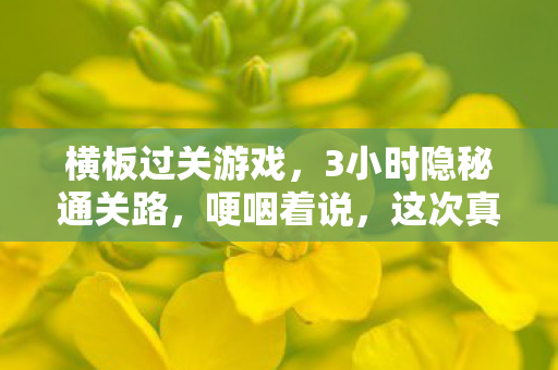 横板过关游戏,3小时隐秘通关路,哽咽着说,这次真的到终点了 横板过关游戏,3小时隐秘通关路,哽咽着说,这次真的到终点了