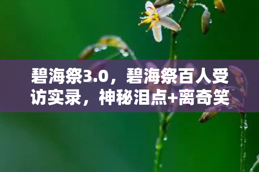 碧海祭3.0,碧海祭百人受访实录,神秘泪点+离奇笑点,网吧众生相绷不住了! 碧海祭3.0,碧海祭百人受访实录,神秘泪点+离奇笑点,网吧众生相绷不住了!