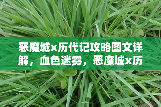 恶魔城x历代记攻略图文详解,血色迷雾,恶魔城x历代记中隐藏的悬案与毛骨悚然真相 恶魔城x历代记攻略图文详解,血色迷雾,恶魔城x历代记中隐藏的悬案与毛骨悚然真相