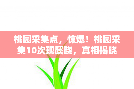 桃园采集点，惊爆！桃园采集10次现蹊跷，真相揭晓后背发凉！