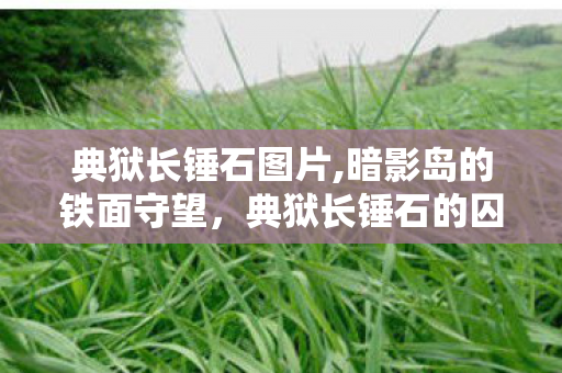 典狱长锤石图片,暗影岛的铁面守望,典狱长锤石的囚笼与执念 典狱长锤石图片,暗影岛的铁面守望,典狱长锤石的囚笼与执念