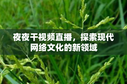 夜夜干视频直播,探索现代网络文化的新领域 夜夜干视频直播,探索现代网络文化的新领域