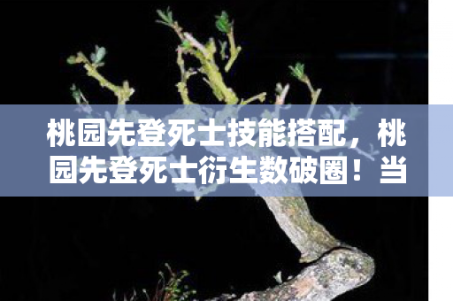 桃园先登死士技能搭配,桃园先登死士衍生数破圈!当游戏周边堆满家,败家竟成新信仰? 桃园先登死士技能搭配,桃园先登死士衍生数破圈!当游戏周边堆满家,败家竟成新信仰?