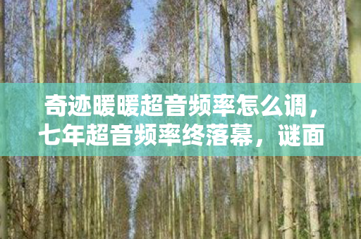 奇迹暖暖超音频率怎么调,七年超音频率终落幕,谜面藏爱成绝响,泪目见证奇迹终章 奇迹暖暖超音频率怎么调,七年超音频率终落幕,谜面藏爱成绝响,泪目见证奇迹终章