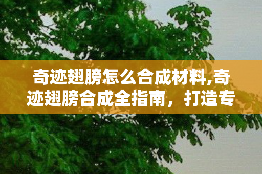 奇迹翅膀怎么合成材料,奇迹翅膀合成全指南,打造专属羽翼的核心技巧 奇迹翅膀怎么合成材料,奇迹翅膀合成全指南,打造专属羽翼的核心技巧