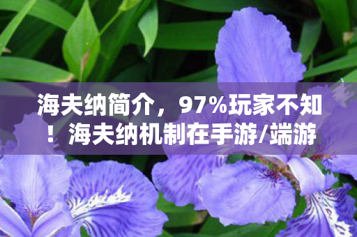 海夫纳简介,97%玩家不知!海夫纳机制在手游/端游/主机竟有天壤之别! 海夫纳简介,97%玩家不知!海夫纳机制在手游/端游/主机竟有天壤之别!
