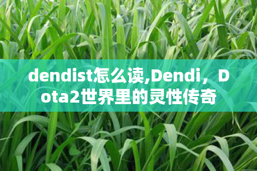 dendist怎么读,Dendi,Dota2世界里的灵性传奇 dendist怎么读,Dendi,Dota2世界里的灵性传奇